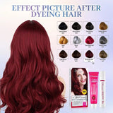 Disaar long lasting Dark Brown 66/0 hair color cream 100% cover grey hair dye color cream 60ml DS5173